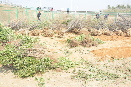 ������ٺ�կ���M(f��i)վ�B�Ӿ��ĔU(ku��)�����̾G������